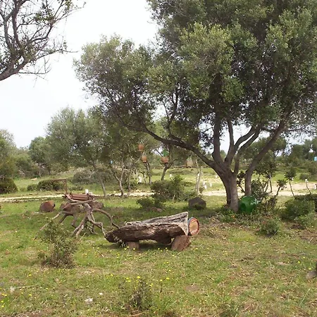 Ovile Juanne Loddo Hotel 3*