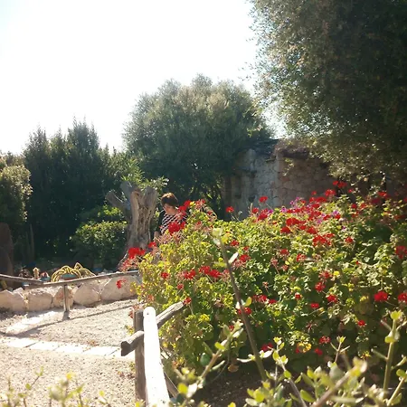 Ovile Juanne Loddo 3*